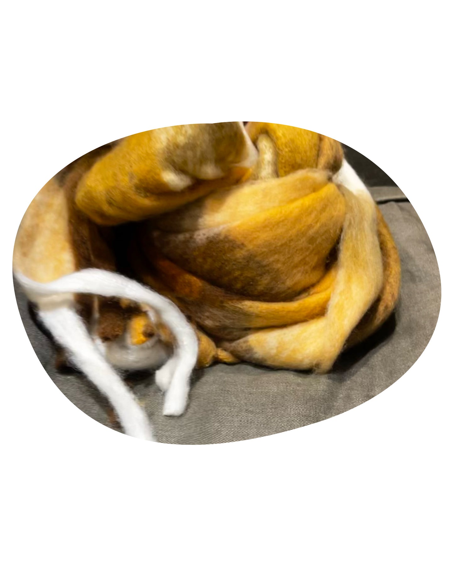 Écharpe modèle Choux coloris écossais